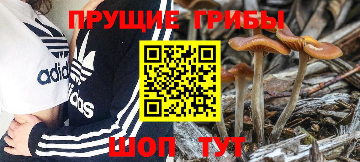 купить   Вход с VPN  Биробиджан  Галлюциногенные грибы Magic Shrooms 